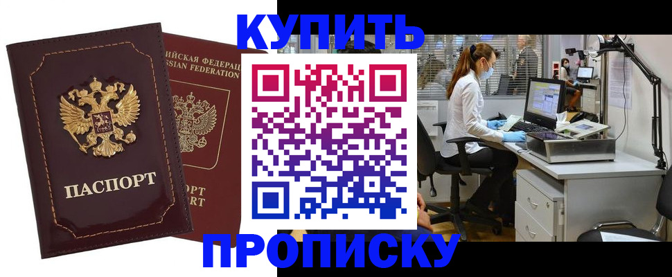 прописка гарантия в Новозыбкове